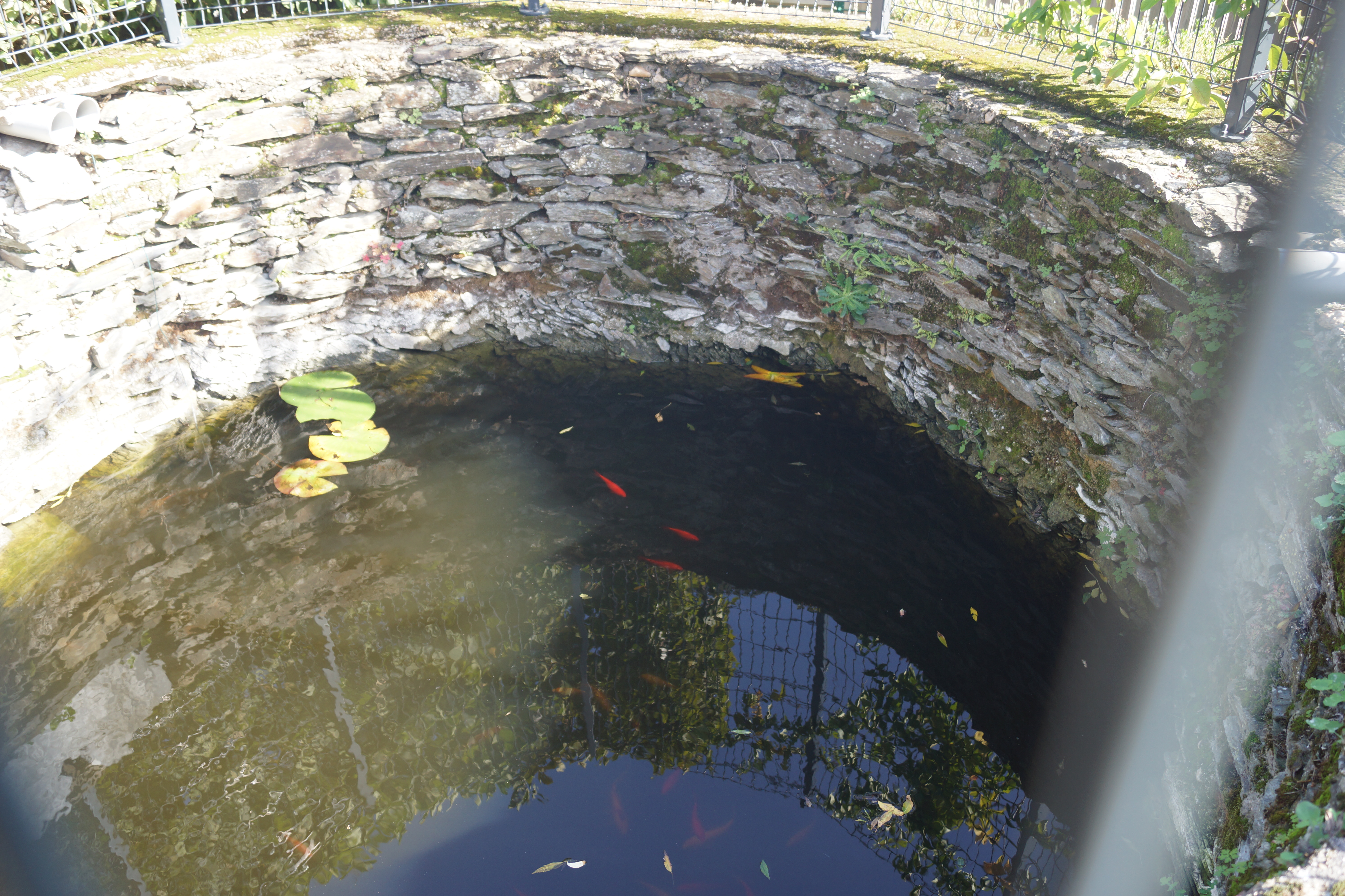 Création de bassin et fontaine à Angers & 49